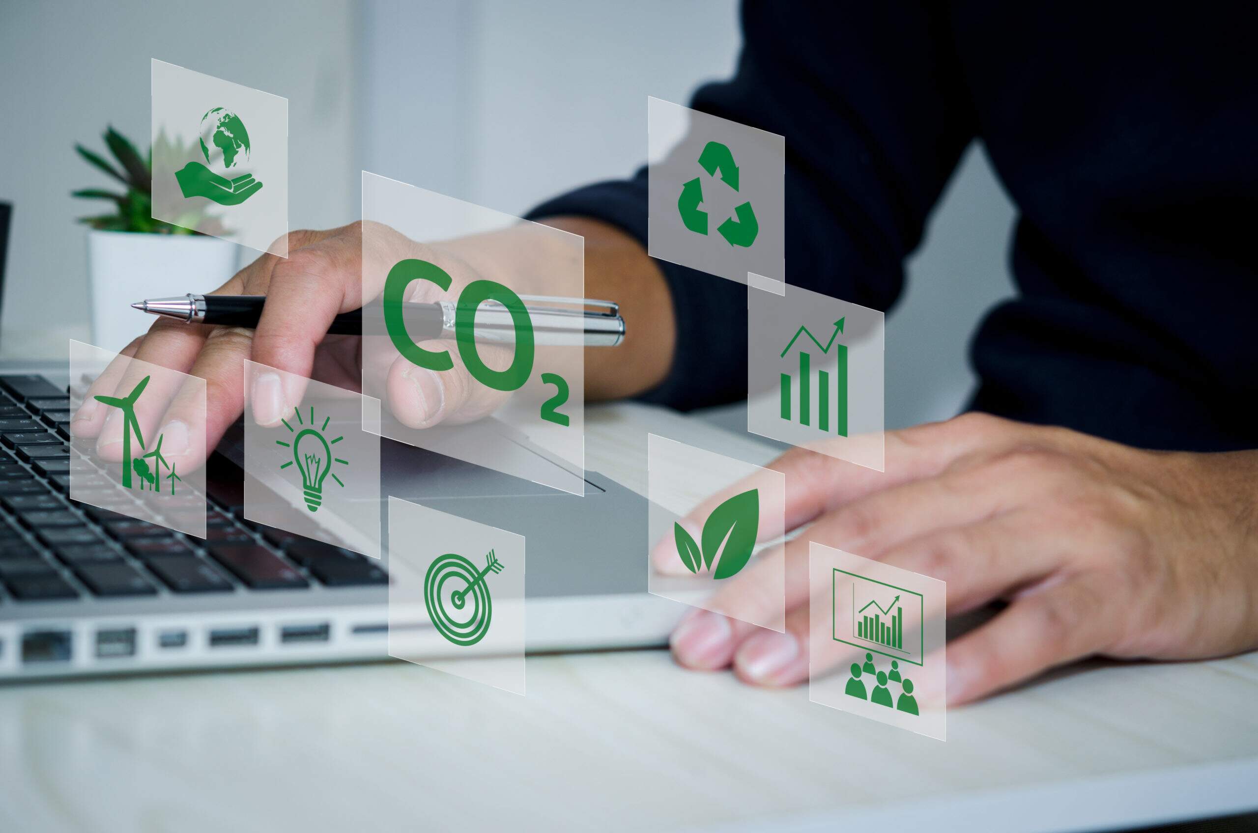 Saiba mais sobre a contabilidade ambiental e sua importância